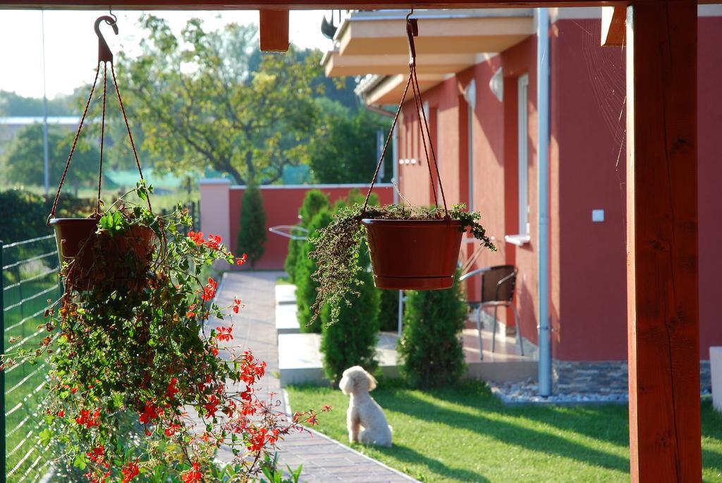 Ferienwohnung Fridrich apartman Veľký Meder Exterior foto